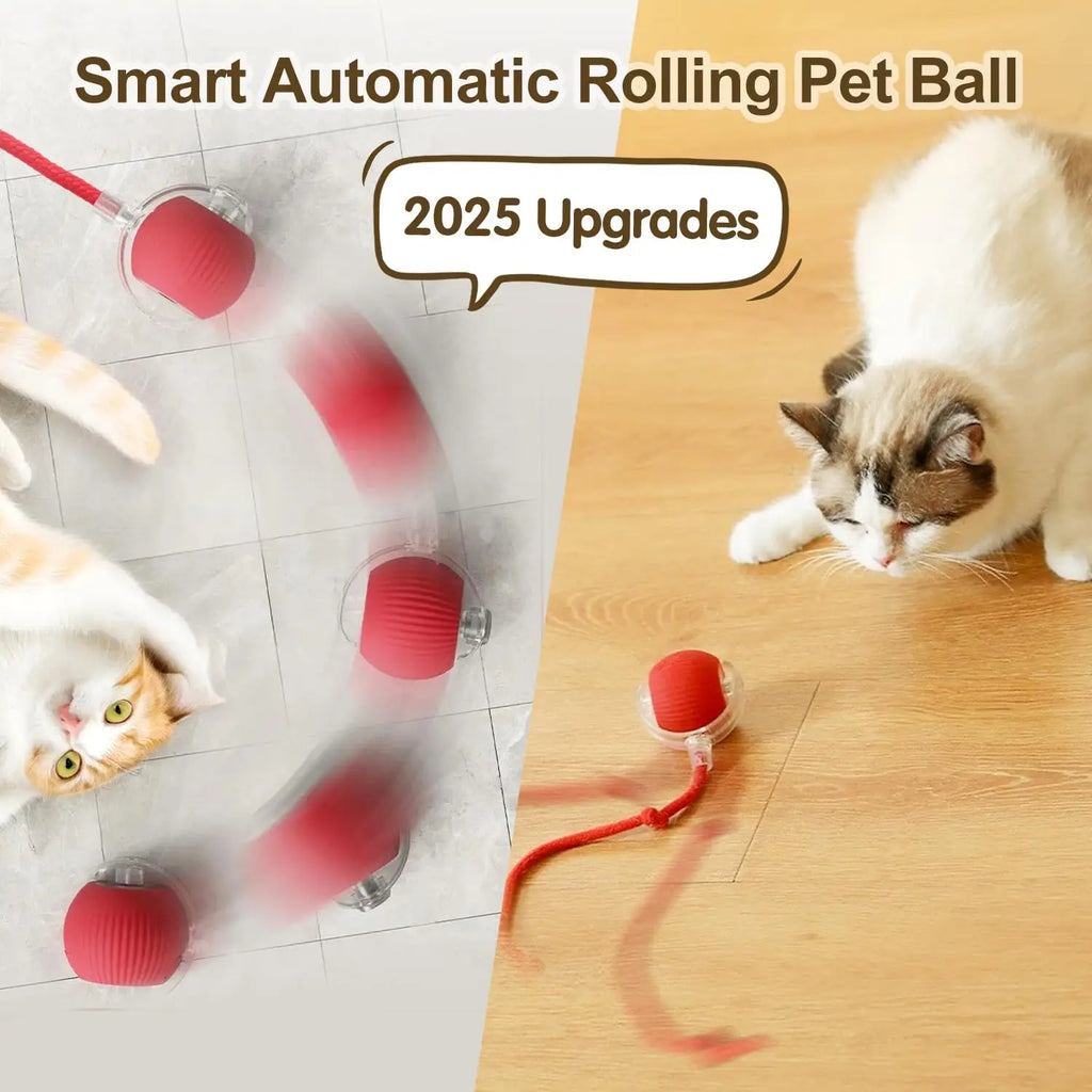 Zoomie Smart Ball | Interactive Cat Toy
